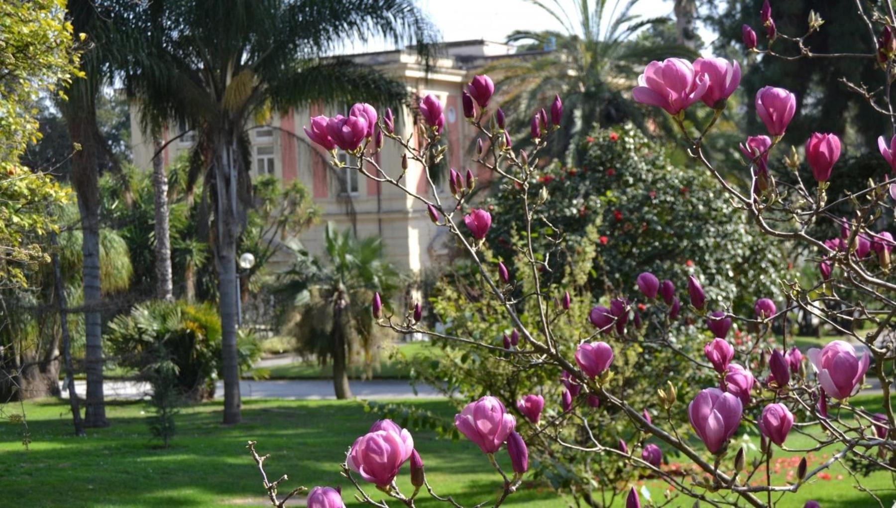 Casina Via Foria Bed & Breakfast Napoli Dış mekan fotoğraf